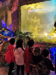 -恐龙探索乐园(磁器口店)