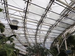 -北京植物园-展览温室