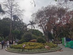-荔湾湖公园