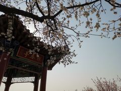 -北京西山国家森林公园