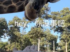 -清迈夜间动物园