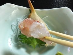-蟹料理 北海道かに将軍(札幌本店)