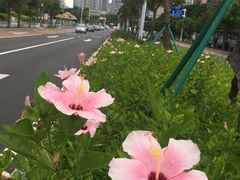 -沃尔玛(前山店)