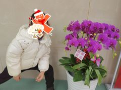 -诺贝川口腔(春都路旗舰店)