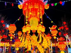 -淄博花灯齐彩城