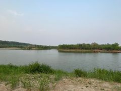 -东郊湿地公园