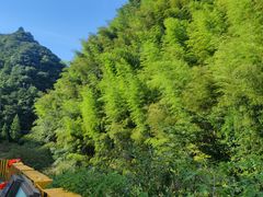 -藏龙百瀑风景区