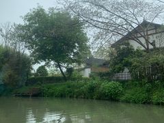 -西溪国家湿地公园