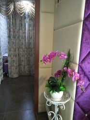 -薇兰专业脱毛连锁机构