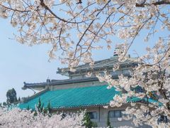 -武汉大学-樱园