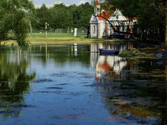 -上海共青森林公园