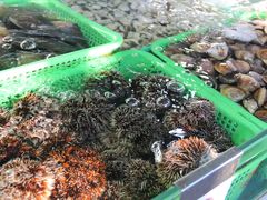 -清水湾3号(东方小周海鲜店)