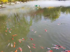 -河北省园博园