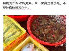 -巧克力渔家.小船海鲜胶东菜(万平口店)