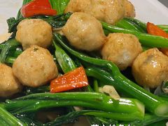 -港升鱼师傅·中山脆肉鲩