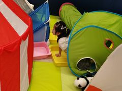 -宜家家居(高新商场店)