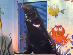 -太平洋海底世界