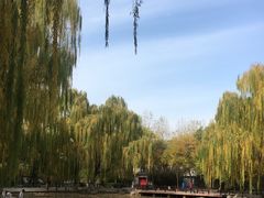 -玲珑塔公园