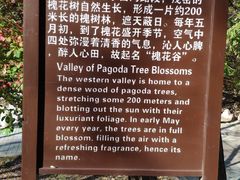 -金龙寺国家森林公园