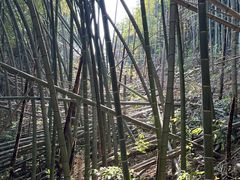 -会稽山峡洞漂流-上青古道