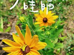 -北坞公园