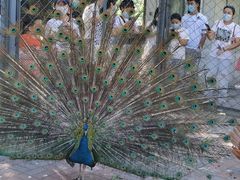 -长白岛森林公园