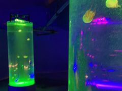 -北戴河圣蓝海洋公园