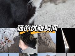 -北京凤凰岭