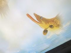 -徽三说·土徽菜·中国徽菜连锁品牌(一中店)