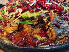 -老板恋上鱼(环山路店)