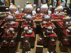 -猫咪博物馆(顶澳仔猫街店)