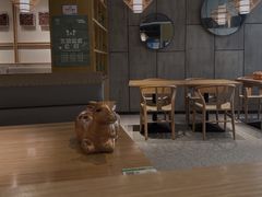 -胡子大厨·超级小炒肉(晶耀前滩店)