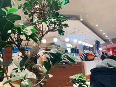 大堂-Peet's Coffee皮爷咖啡(豫园店)