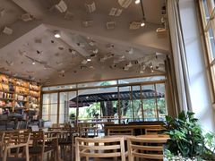 大堂-猫的天空之城概念书店(束河店)