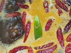 -金鼎雪山牦牛杂火锅(理县总店)