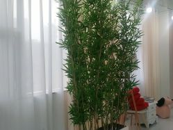 -小阿福儿童摄影(华中智谷店)