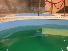 -青岛东方影都融创水世界