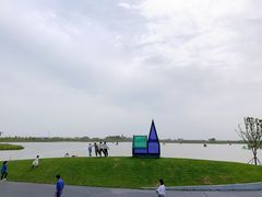 -荷兰花海