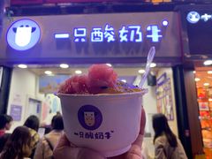 -一只酸奶牛(八一路店)