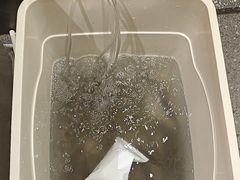 -杨氏青龙虾·羊蝎子(托乐嘉店)