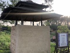 -杏花村文化旅游区