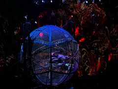 -广州长隆国际大马戏