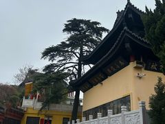 -孤山景区-孤山寺