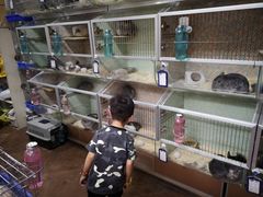 -万商花鸟市场