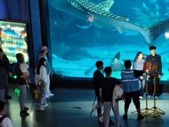 -烟台海昌鲸鲨海洋公园