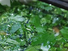 -望江面馆(杭州智汇中心店)