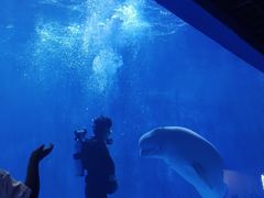 -多彩贵州城极地海洋世界