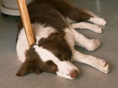 -时间抽屉(裕华万达广场店)