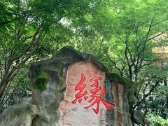 -杭州黄龙洞