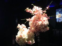 -黑桃K生日订制KTV